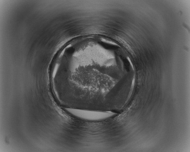 X0000091011031200708241507