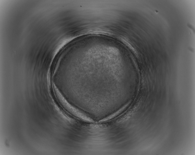 X0000091011032200708241507