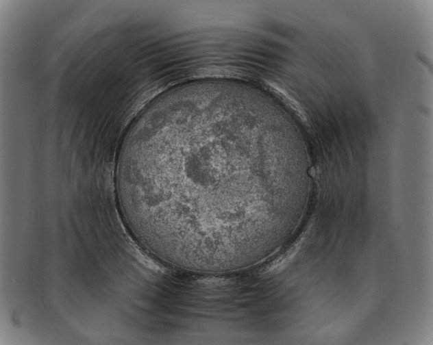 X0000091011033200708241507