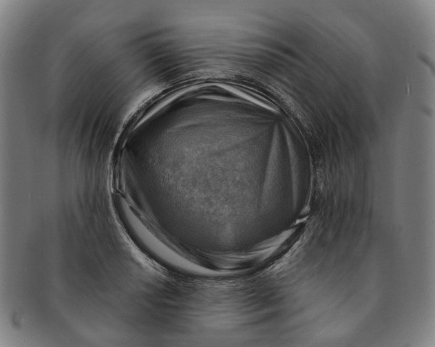 X0000091011034200708241507