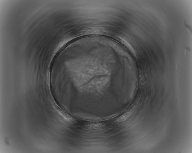 X0000091011035200708241507