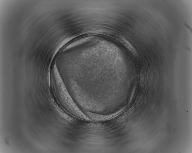 X0000091011036200708241507