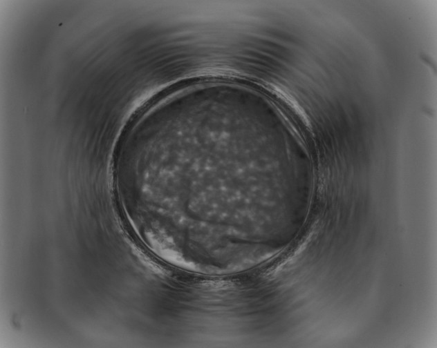 X0000091011037200708241507