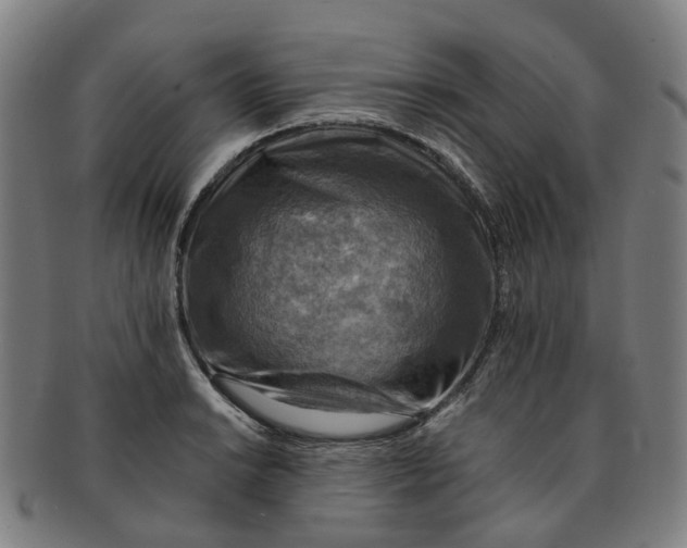 X0000091011038200708241507