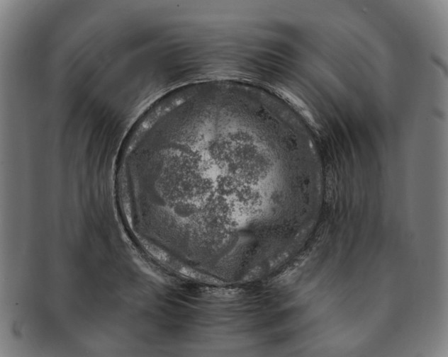 X0000091011039200708241507