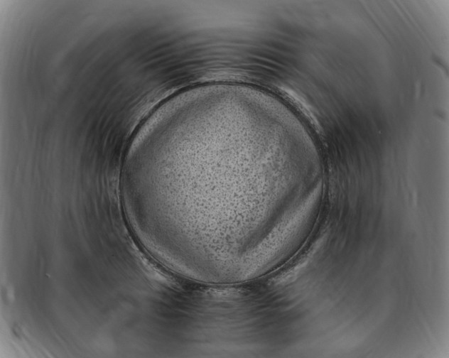 X0000091011041200708241507