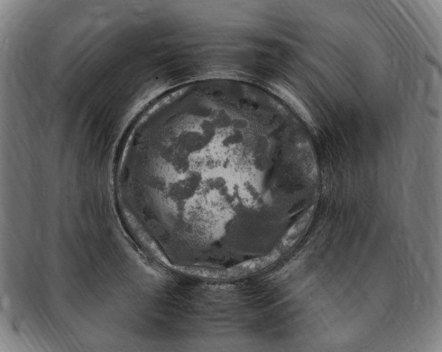 X0000091011043200708241508