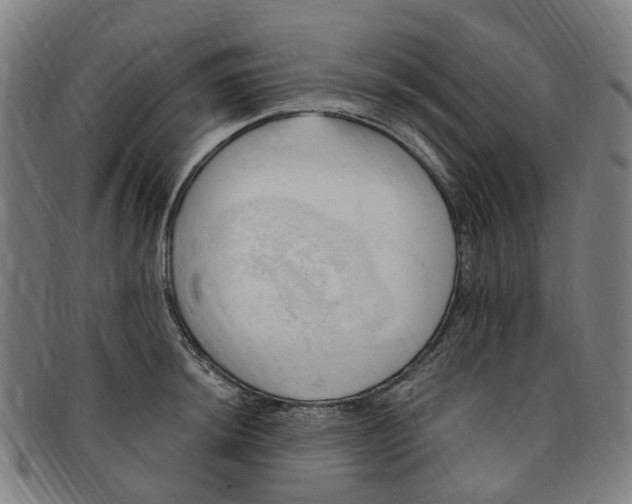 X0000091011044200708241508