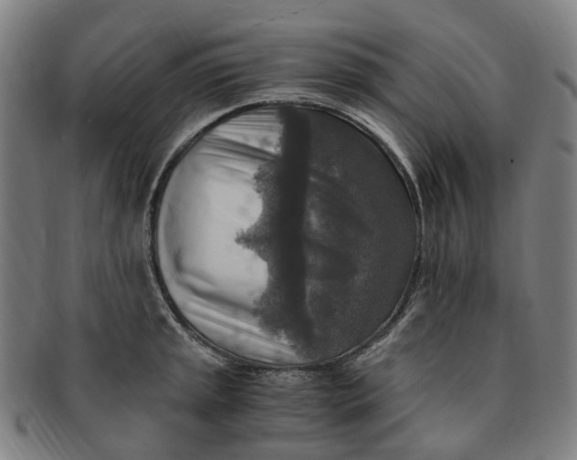 X0000091011045200708241508