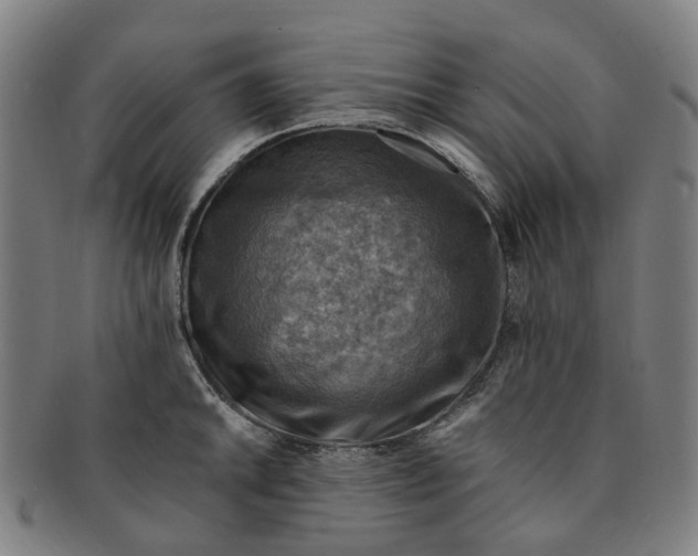 X0000091011046200708241508