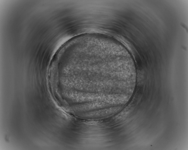 X0000091011048200708241508