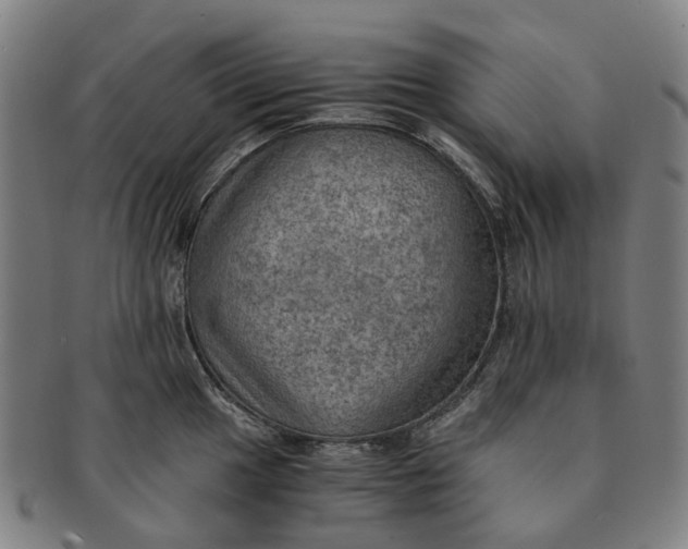 X0000091011049200708241508