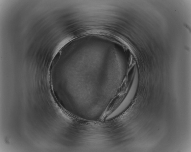 X0000091011050200708241508