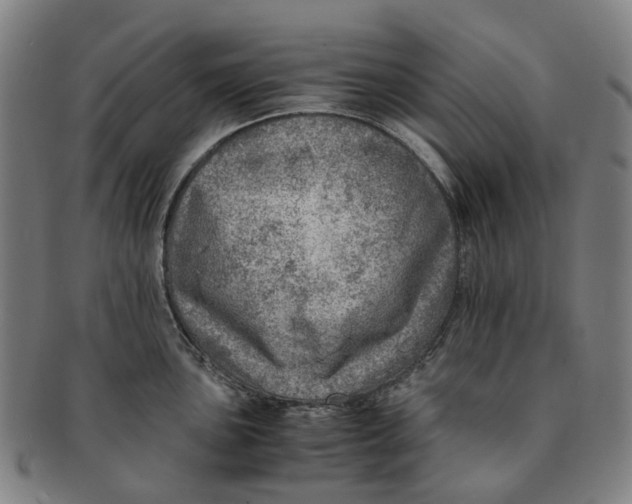 X0000091011051200708241508