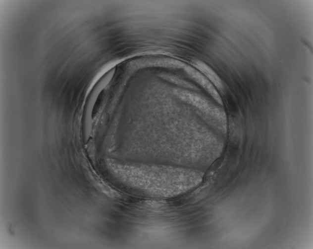 X0000091011052200708241508