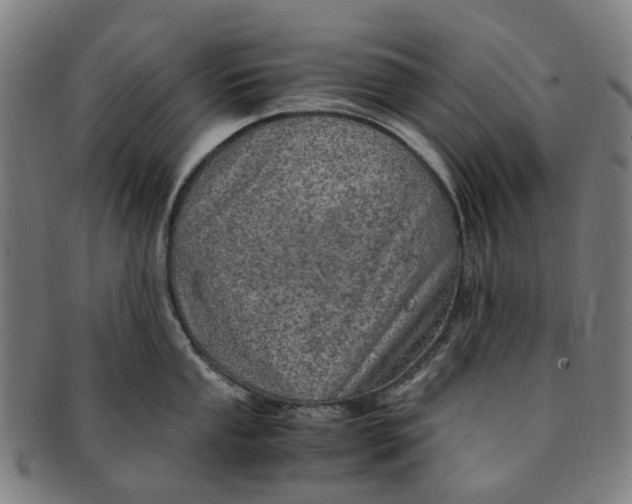 X0000091011053200708241508