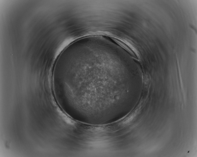 X0000091011054200708241508