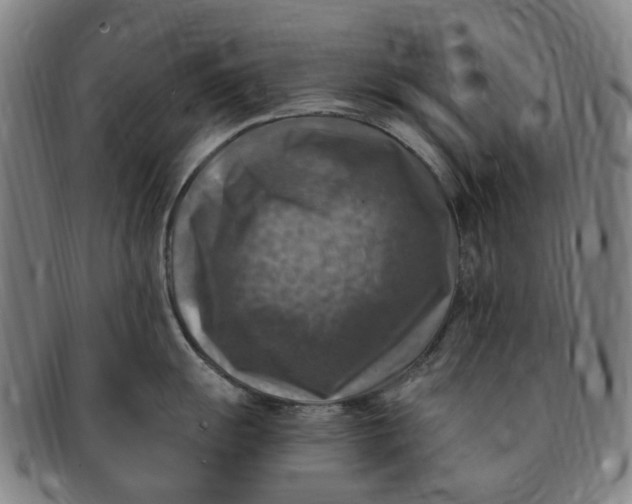 X0000091011055200708241508