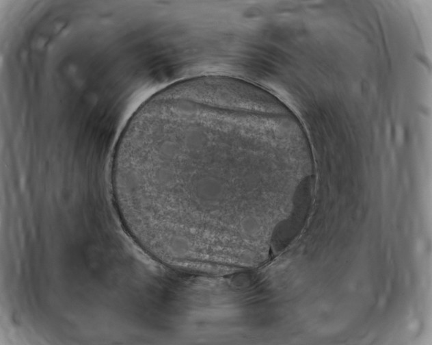 X0000091011056200708241508