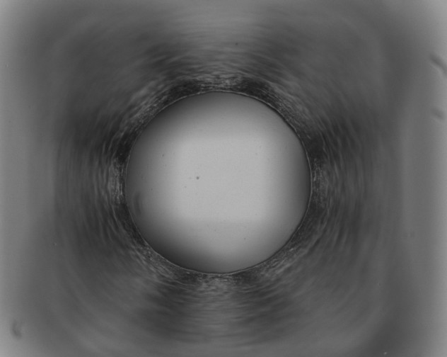 X0000091011058200708241507