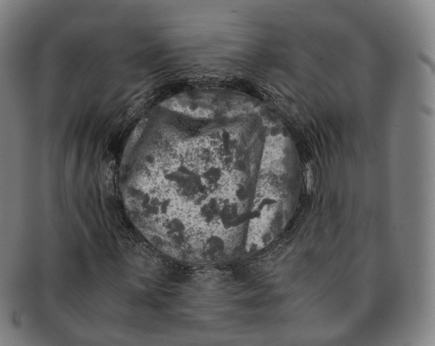 X0000091011059200708241507