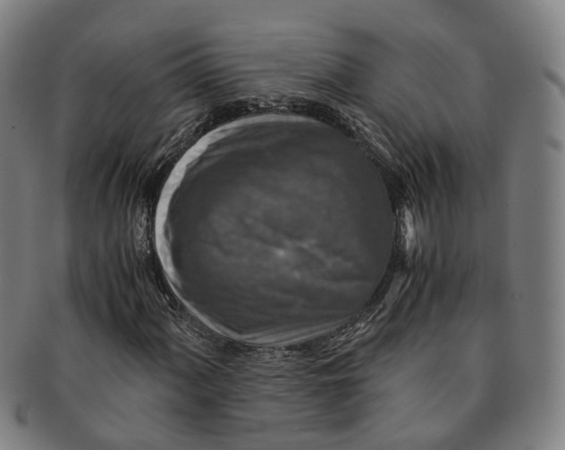 X0000091011060200708241507