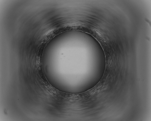 X0000091011062200708241507