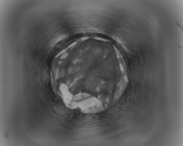 X0000091011063200708241507