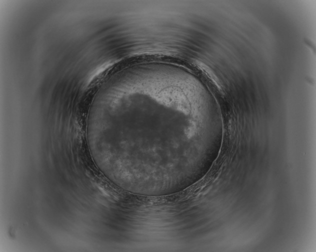 X0000091011064200708241507