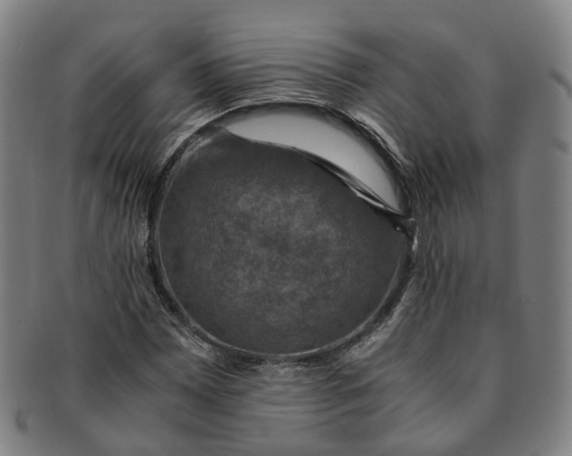 X0000091011065200708241507