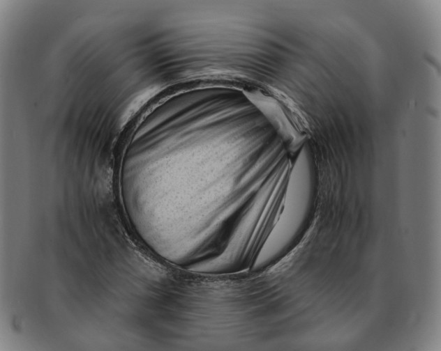 X0000091011066200708241507