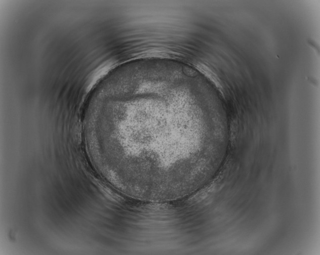 X0000091011067200708241507