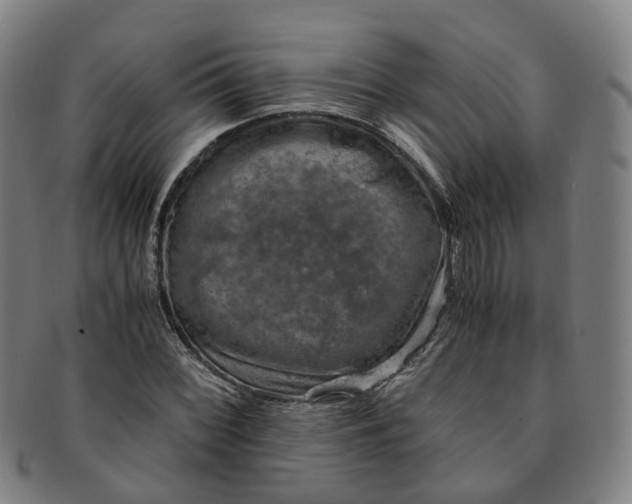 X0000091011068200708241507