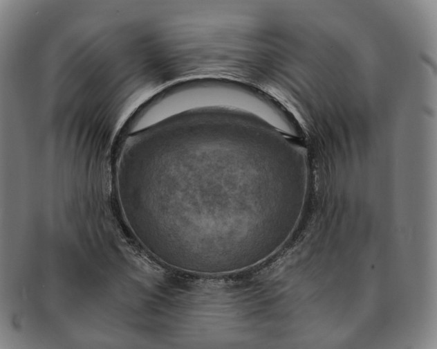 X0000091011069200708241507