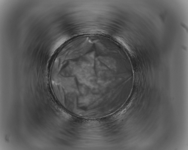 X0000091011071200708241507