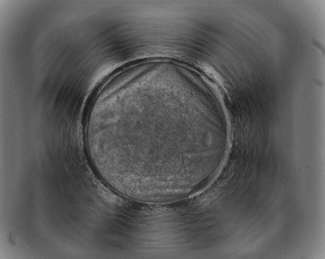 X0000091011072200708241507