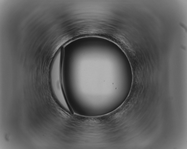 X0000091011073200708241507