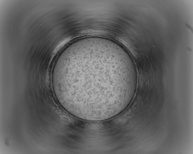 X0000091011074200708241507