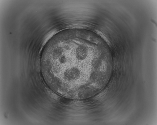 X0000091011075200708241507