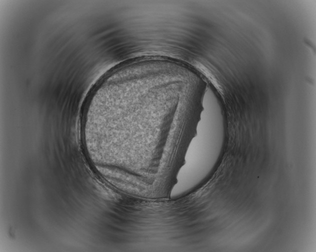 X0000091011076200708241507