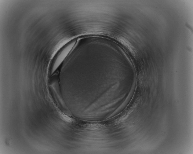 X0000091011077200708241507