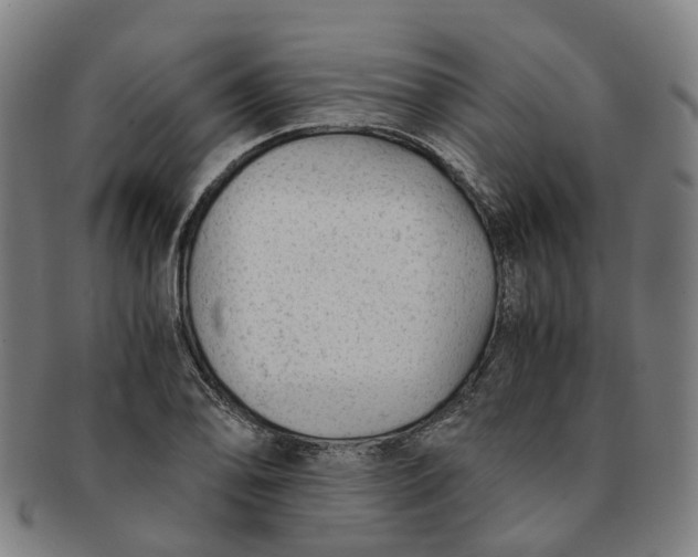 X0000091011078200708241507