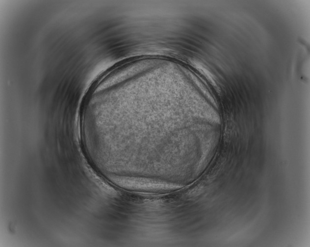 X0000091011080200708241507