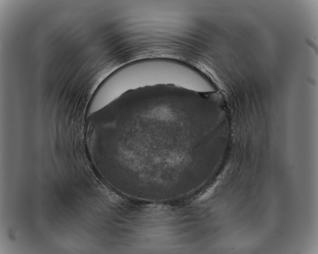 X0000091011081200708241507