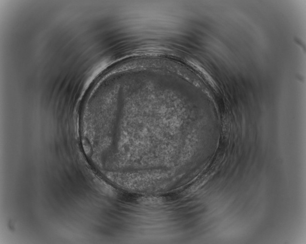 X0000091011083200708241507