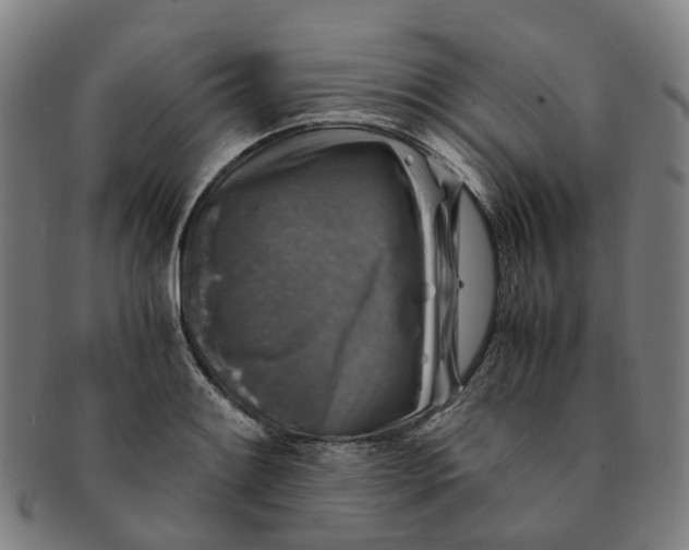 X0000091011084200708241507