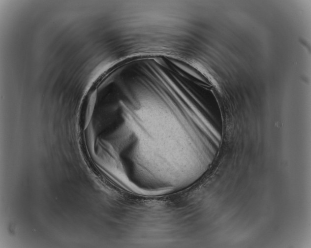 X0000091011085200708241507