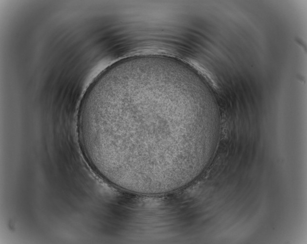 X0000091011086200708241507