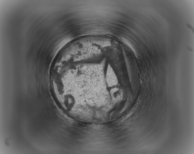 X0000091011087200708241507