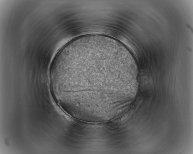 X0000091011088200708241507